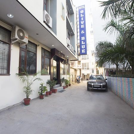 Hotel Olive & Blue - Govt Approved Hotel Near Delhi Airport Nové Dillí Exteriér fotografie